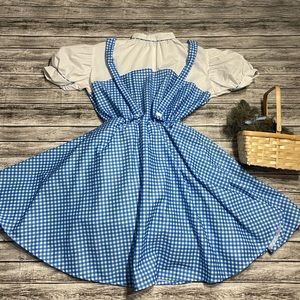 Blue and White Gingham Dorothy Dress